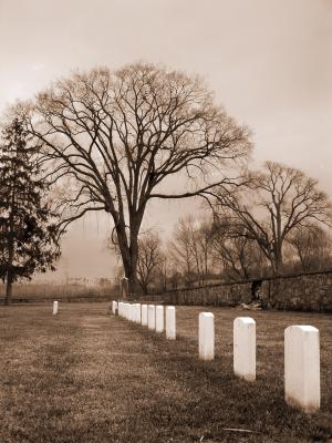 Silent Soldiers at Fort Mott State Park