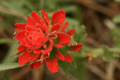 g3/67/34567/3/114241219.mNK6f3MV.jpg