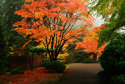Portland Japanese Garden