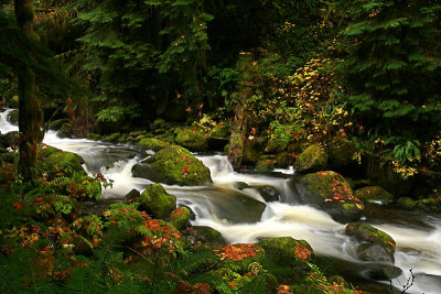 g3/67/34567/3/122461447.Z5OuGmHt.jpg