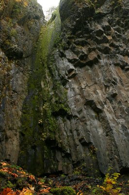 Pardon me, but have you seen a waterfall around here?