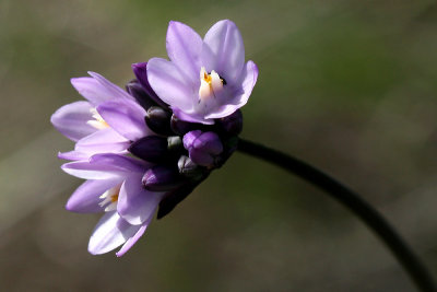 g3/67/34567/3/123098860.ysXMX34B.jpg