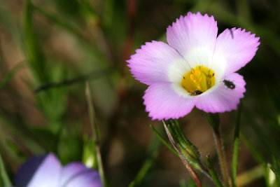 g3/67/34567/3/123099083.60WVCo9M.jpg