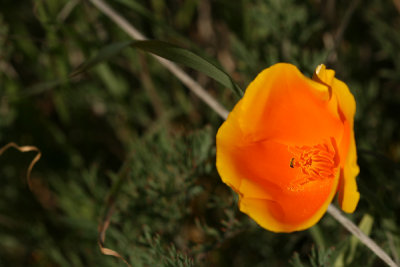 g3/67/34567/3/123099665.Foqcf08h.jpg