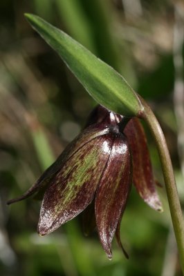 g3/67/34567/3/123201354.SvqUCC7D.jpg