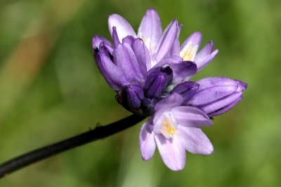 g3/67/34567/3/123201799.ES2rR0Jm.jpg