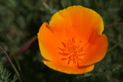g3/67/34567/3/123204033.LFtPsfRu.jpg