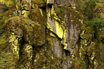 Rocks along the North Umpqua River