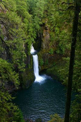 Toketee Falls