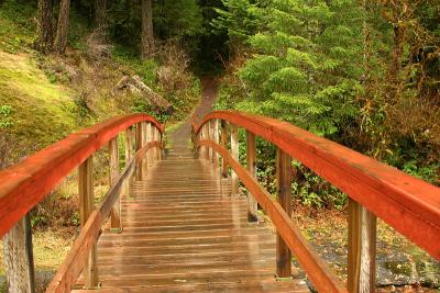 The beginning of the Wolf Creek Falls trail