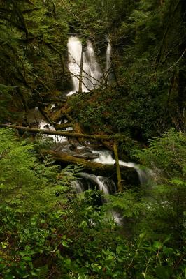 Lower Parker Creek Falls