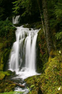 Evergreen Falls