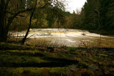 Siuslaw Falls