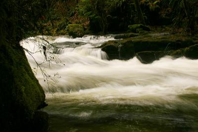 Alsea River