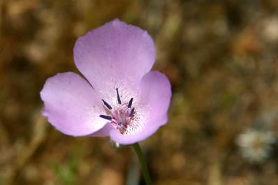 Img_0757w.jpg