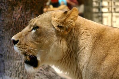 IMG_1636w.jpg