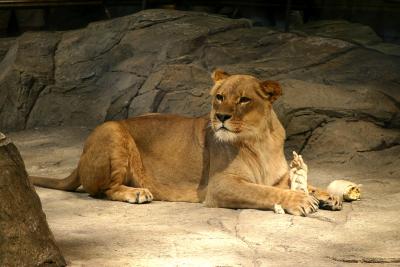 IMG_1648w.jpg