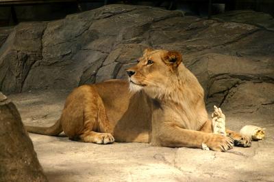 IMG_1649w.jpg