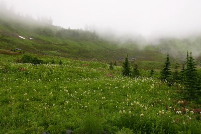 Mount Rainier National Park Gallery 2