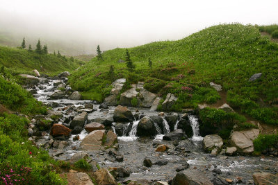 Edith Creek again