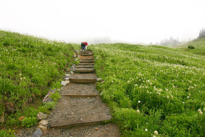 The beginning of the Golden Gate Trail