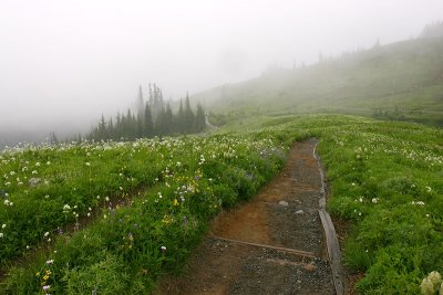 g3/67/34567/3/66947546.m4eQngQg.jpg