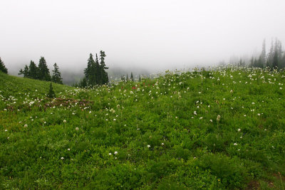 g3/67/34567/3/66947845.5gBEcfkm.jpg