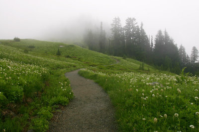 g3/67/34567/3/66948138.XCbq5zQl.jpg