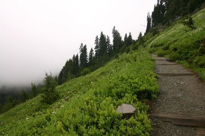 g3/67/34567/3/66950533.ZTUR2GA9.jpg