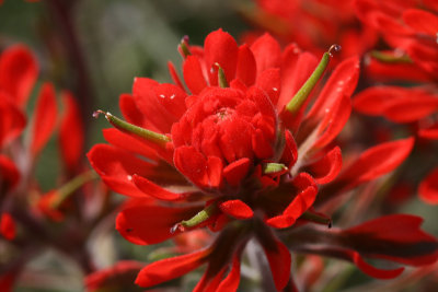g3/67/34567/3/95496770.cFX2dSS2.jpg