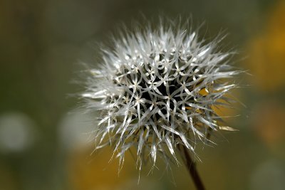g3/67/34567/3/95584925.B1OVvF0s.jpg