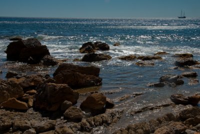 DSC_9681.jpg