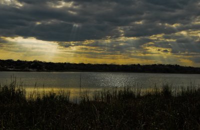 Laguna Coba.jpg