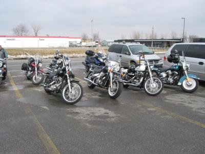 Polar Bear Ride 3