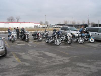 Polar Bear Ride 4