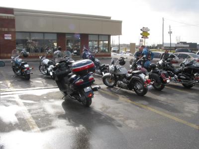 Polar Bear Ride 6