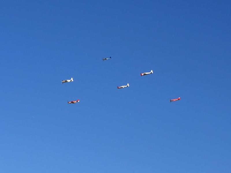 09b-05-P9120068-NI-sharp.jpg