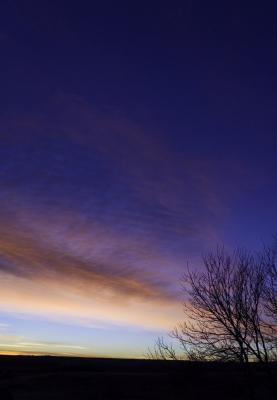 Christmas Sunrise - portrait