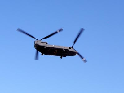 08a-13-P9110027-NI.jpg