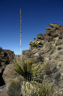 BBNP076.jpg