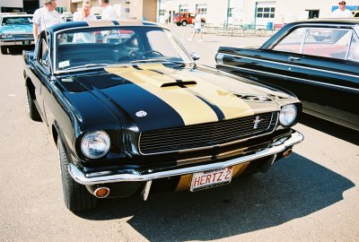 003995J-R1-050-23A.jpg
