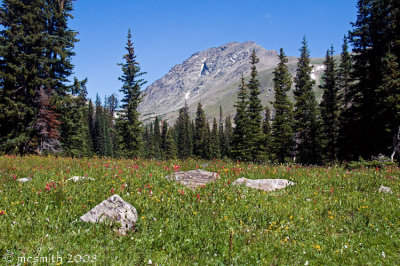 Meadow and Mountains