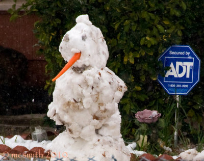 Snowman Security