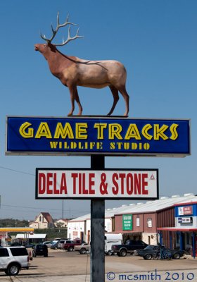 Game Tracks Wildlife Studio