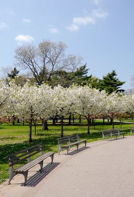 Flushing Meadows Park