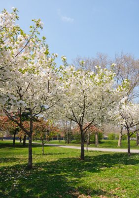 Flushing Meadows Park