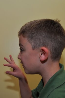 7146.jpg