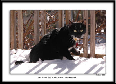 1-DSC_2898.jpg