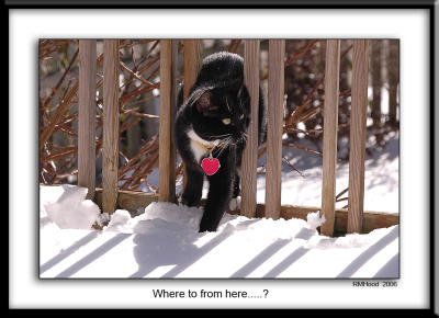 1-DSC_2902.jpg