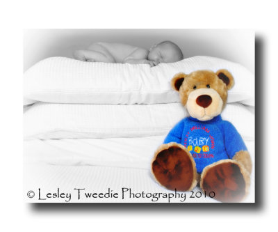 DSC_7188colour-teddy.jpg